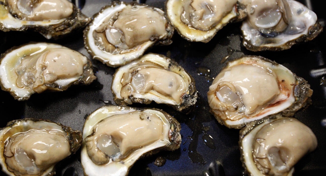 ./.FDA issues shellfish warning for paralytic toxins