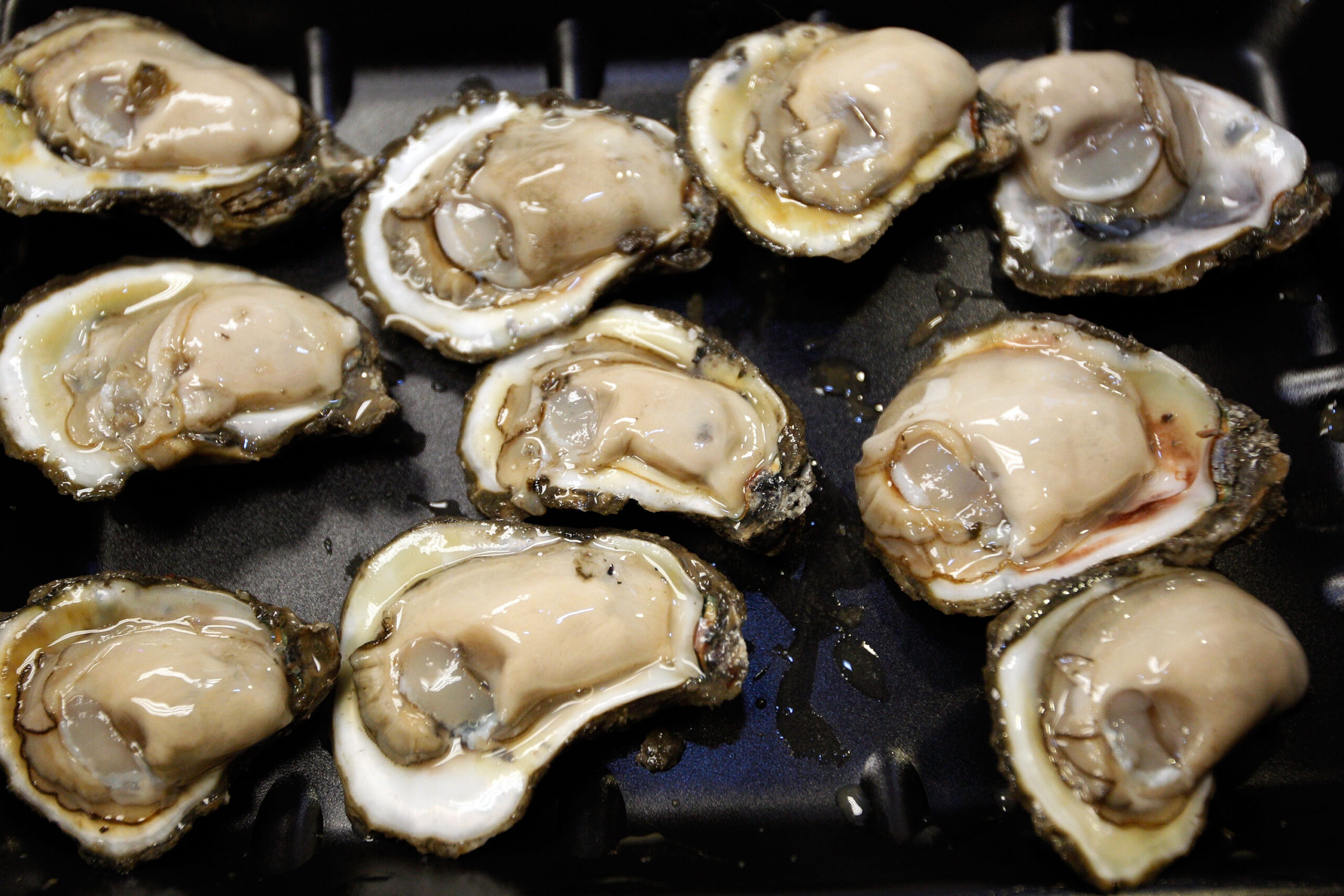 FDA issues shellfish warning for paralytic toxins