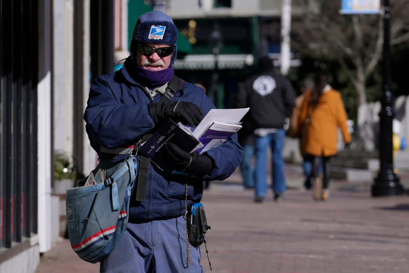 Which US city has the most mail carriers bitten by dogs?